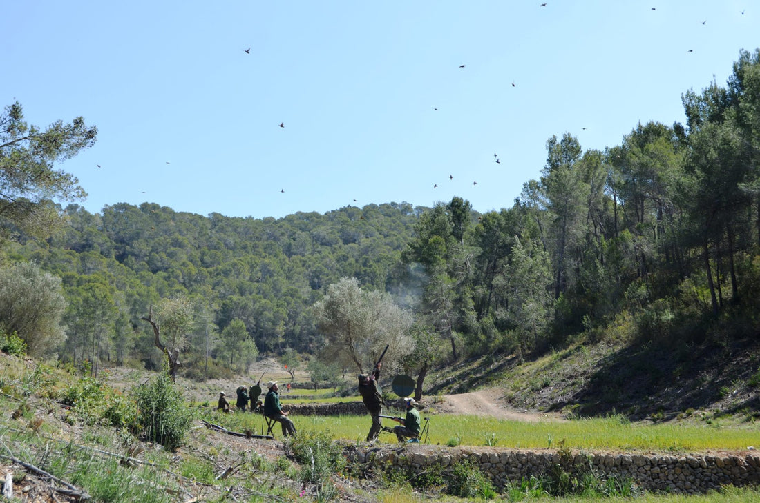 MALLORCA - SPECIAL MID-SEASON PACKAGE