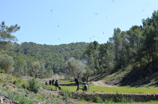 MALLORCA - SPECIAL MID-SEASON PACKAGE