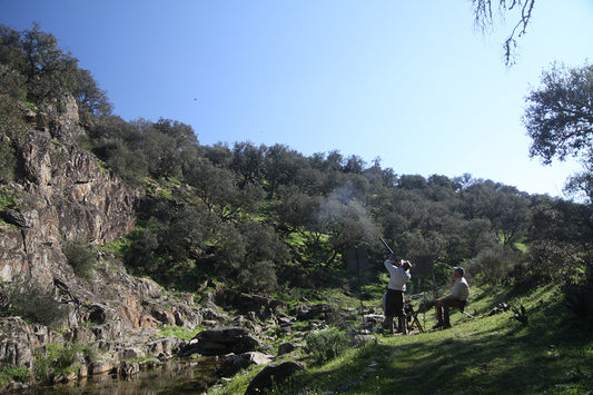Spanish Partridge Shooting